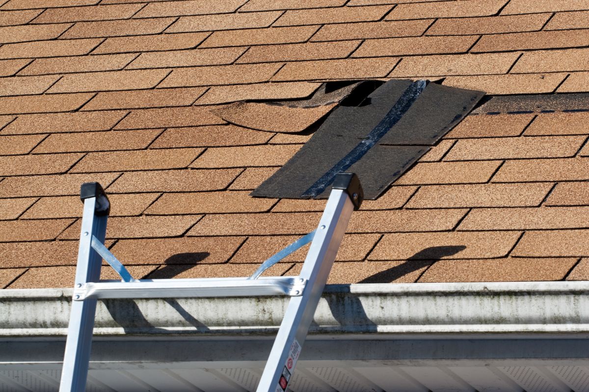 Damaged Roof Shingles Repair in Wayzata