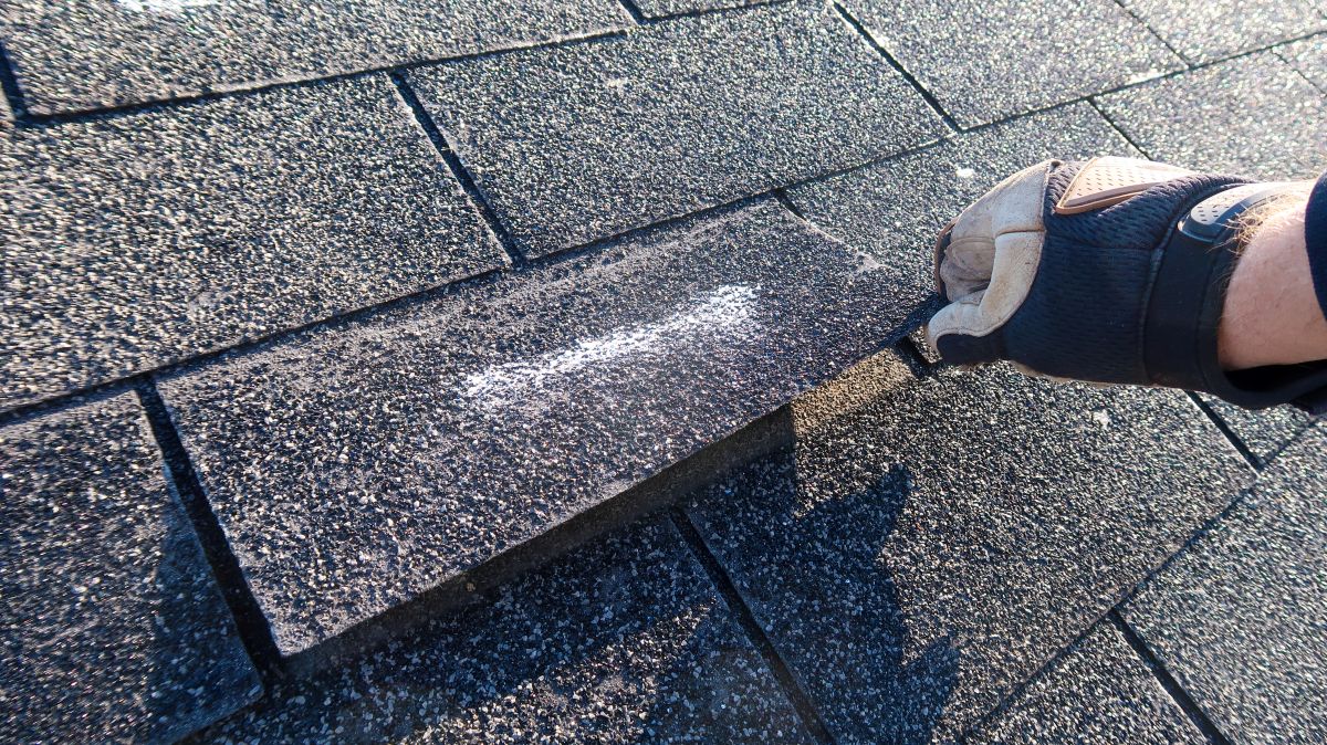 inspection of asphalt shingle in Wayzata